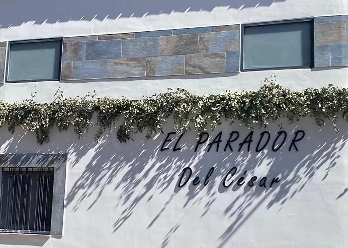 Hostel El Del Cesar Boutique, Aparcamiento Gratis *